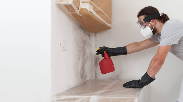Professional Crawl Space Mold Remediation technician working in Algonquin, MD