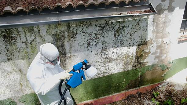 Top rated local Crawl Space Mold Remediation specialists in Algonquin, MD